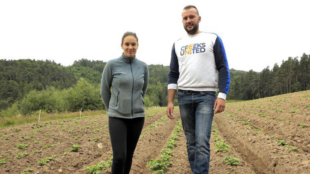 Sur cette parcelle exposée à l’est, Lisa et Julien Poulalion ont planté leurs pommes de terre fin juin (photo réalisée le 12 juillet). © Frédérique Ehrhard